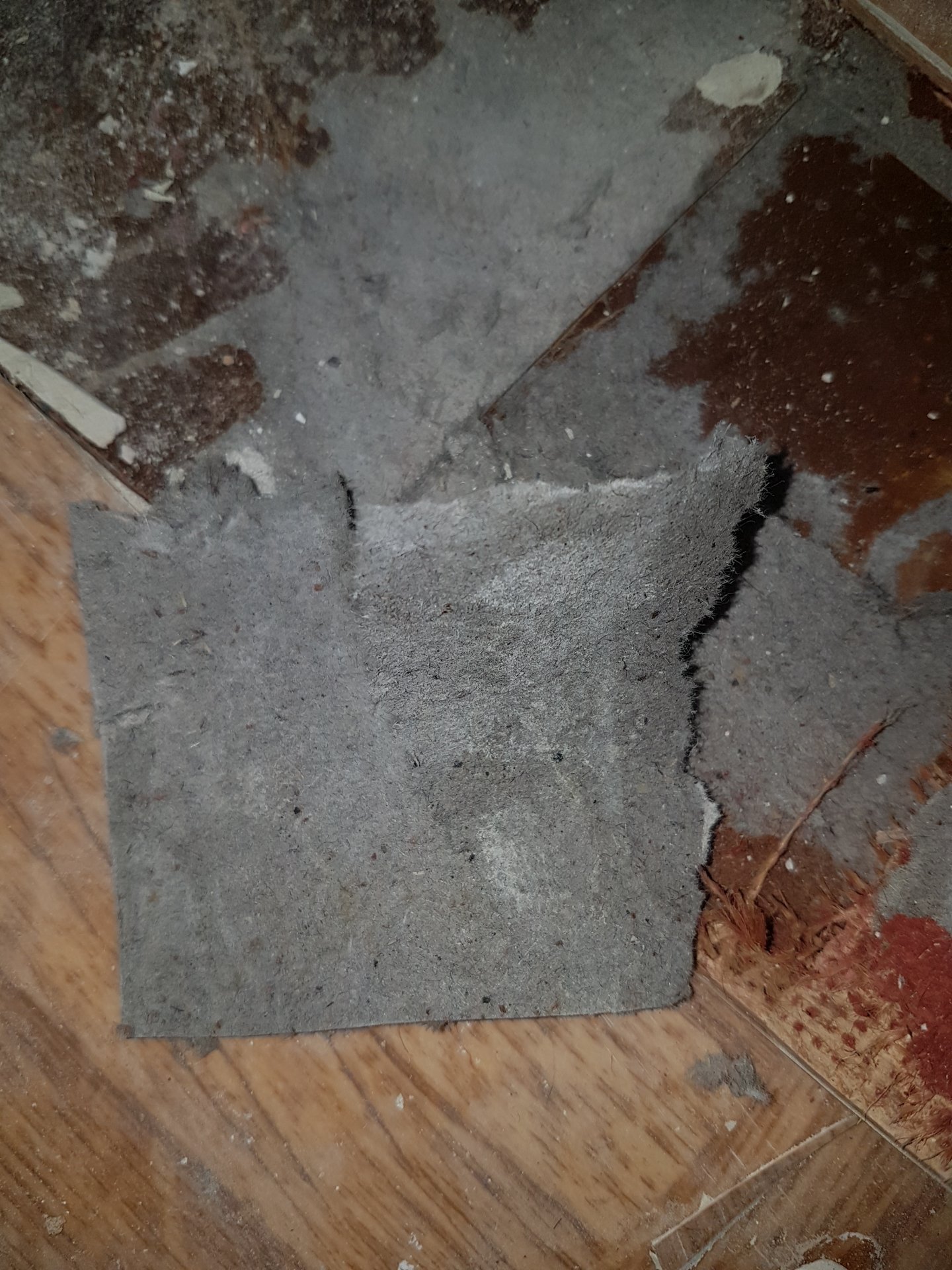 PVC-Belag mit grauer Pappe - Asbest drin?