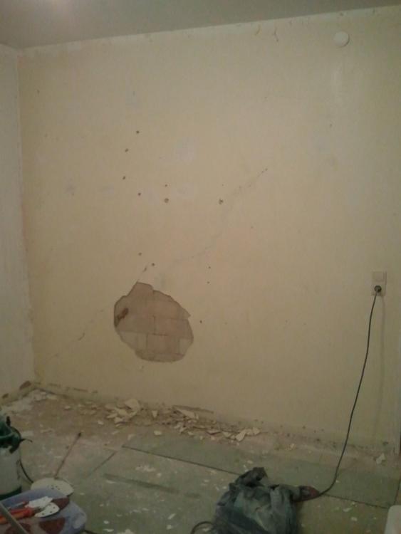 Wohnungsrenovierung - Putz fällt von der Wand, hinnehmbar?